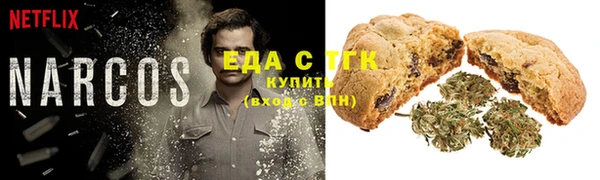 шишки Дмитриев