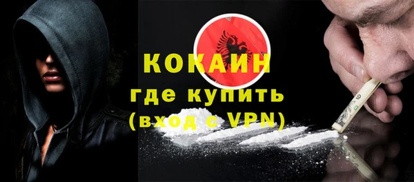 apvp Гусев