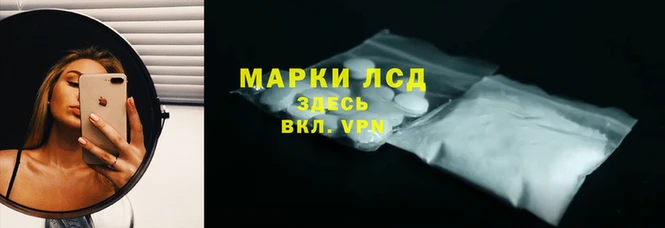 шишки Дмитриев