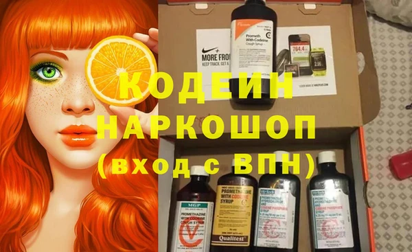 шишки Дмитриев