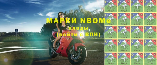 шишки Дмитриев