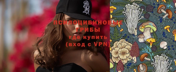бошки Гусиноозёрск