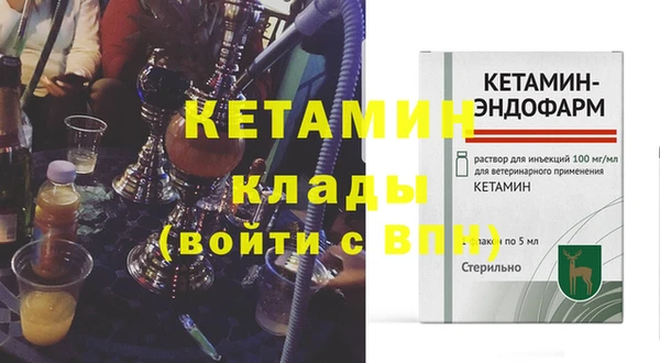 шишки Дмитриев