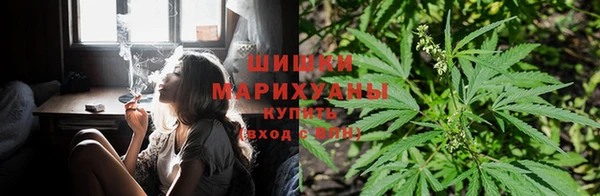 ECSTASY Дмитровск