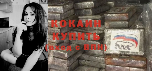 шишки Дмитриев